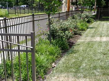 Landscaped grounds